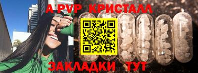 стаф Дубна