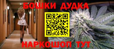 молекула духа Донской