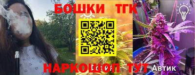 стаф Дубна