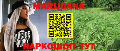 молекула духа Донецк