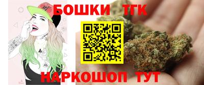 стаф Дубна