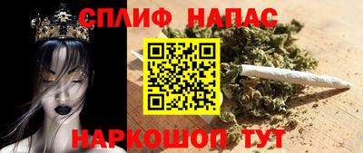 стаф Дубна