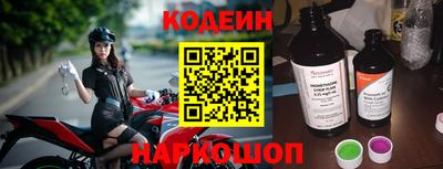 стаф Дубна