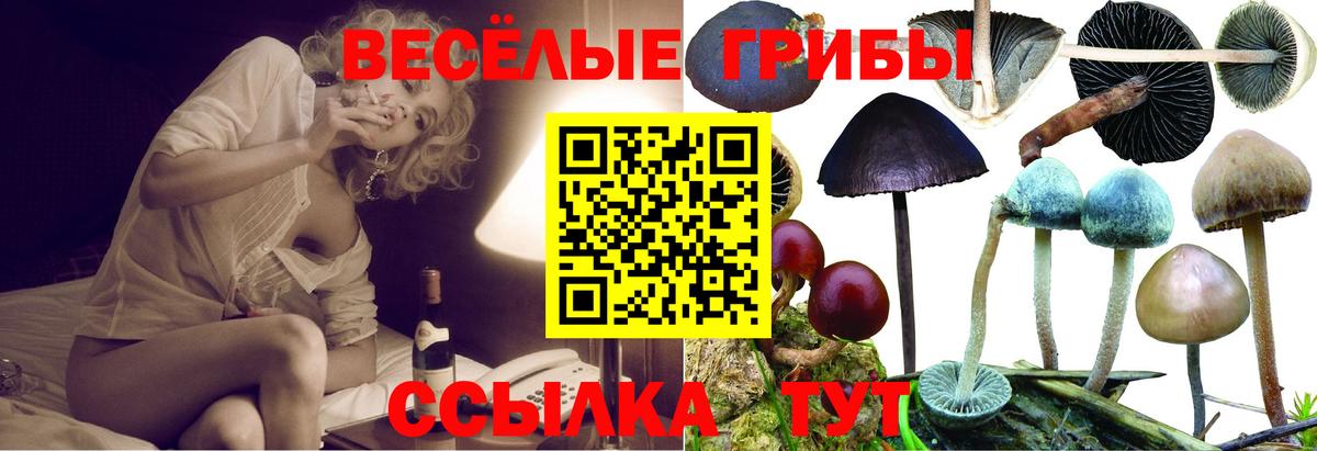 Галлюциногенные грибы мухоморы Назарово