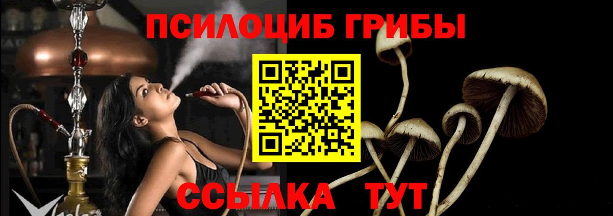 закладка  Псилоцибиновые грибы Psilocybine cubensis  Назарово  Вход с VPN  Галлюциногенные грибы ЛСД 